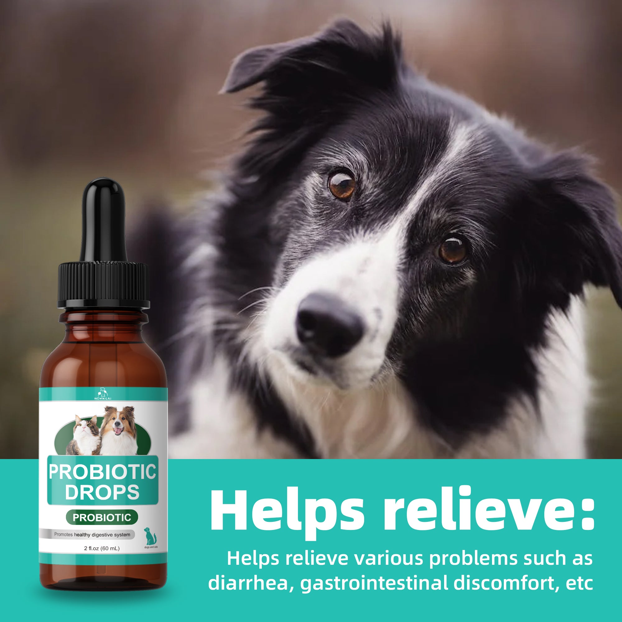 Dog and cat digestive health supplement organic probiotic liquid drop